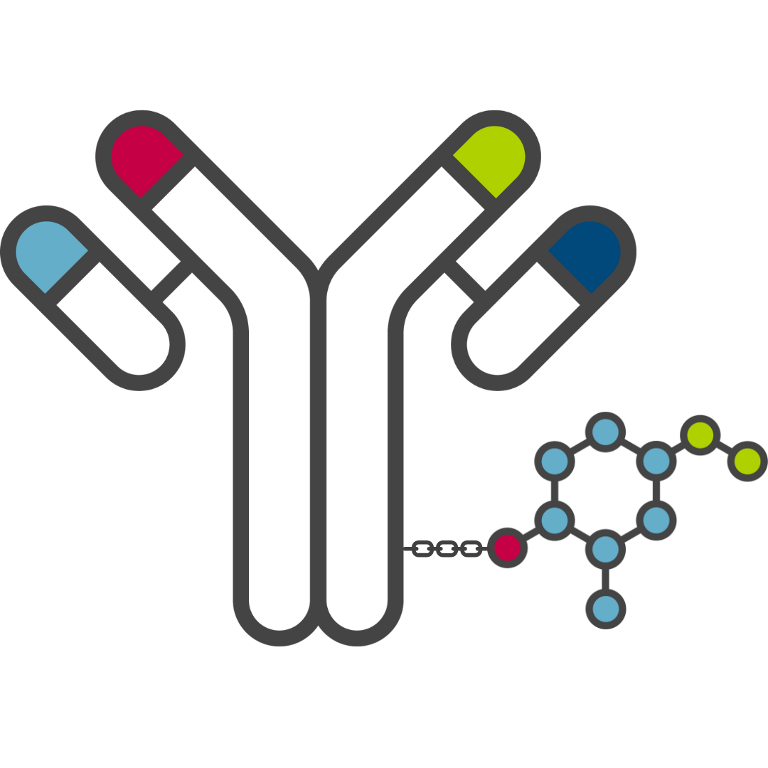 Anti-Body Drug Conjugates